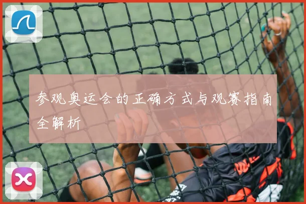 参观奥运会的正确方式与观赛指南全解析